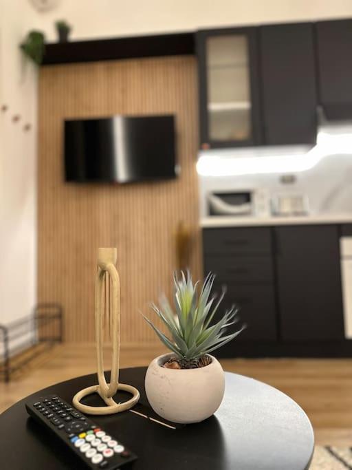 La Casa Di Marlu - Gorgeous Flat In Catania Centre 아파트 외부 사진